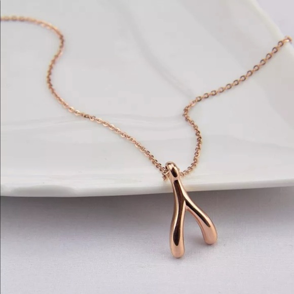 TJ boutique Jewelry - Wishbone Necklace- Rose Gold N6